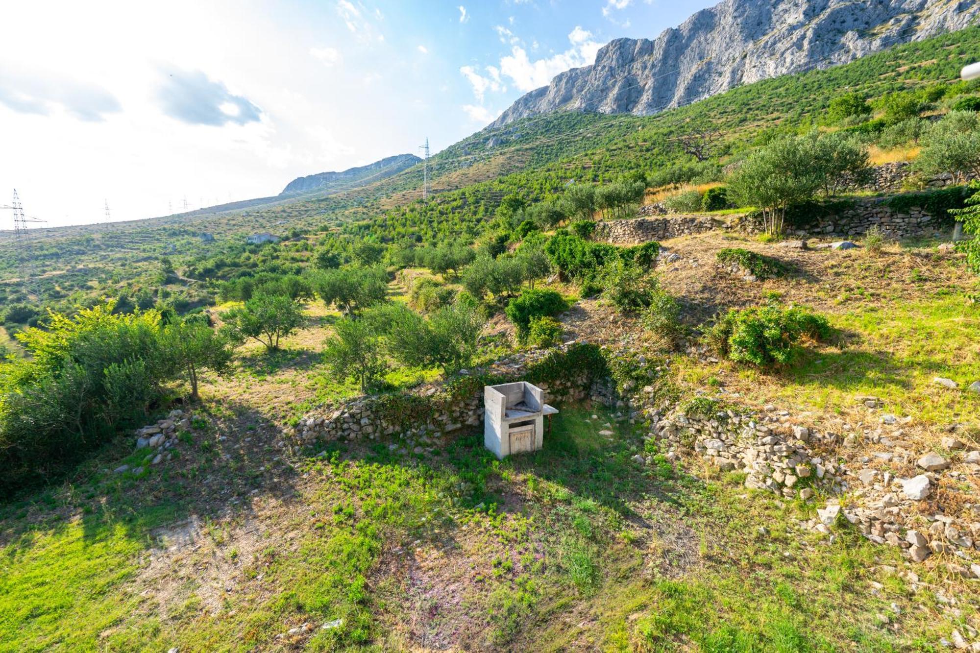 Villa Olive Garden House In Zrnovnica With A View & Bbq Exterior foto